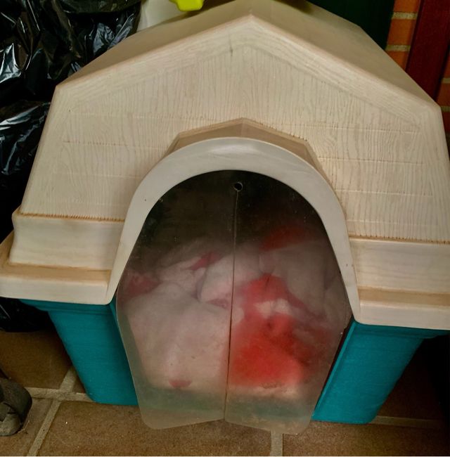 Caseta Perro Mediana Plástico