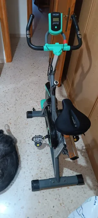 Bicicleta Spinning Cecotec FIT