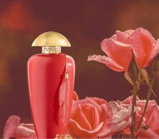 Perfume Flamant Rose Concentre 100ml
