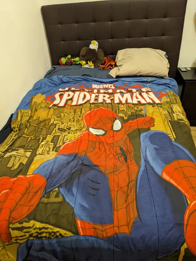 Nórdico y Cortinas Spiderman