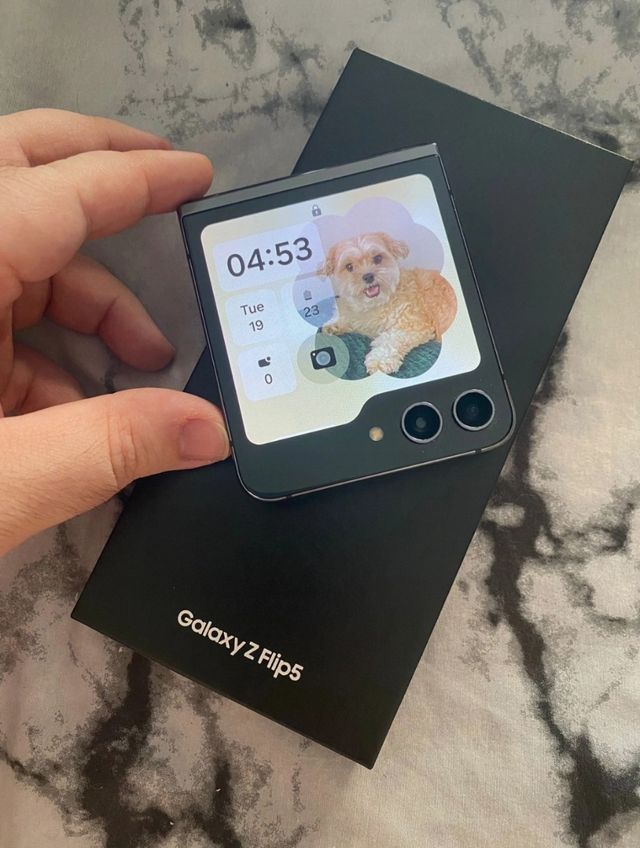 Samsung Galaxy Z Flip 5 5G Gris