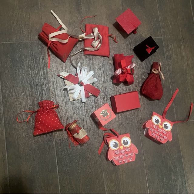 Set 13 Sacchetti Bomboniere Laurea