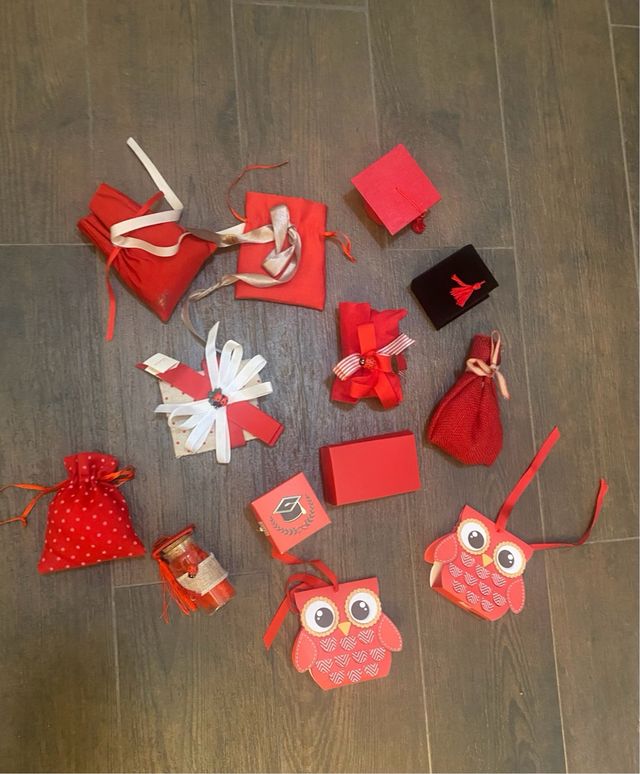 Set 13 Sacchetti Bomboniere Laurea