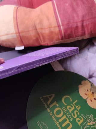 Los poetas en la guerra civil española