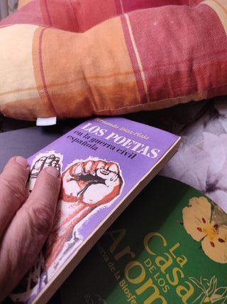 Los poetas en la guerra civil española