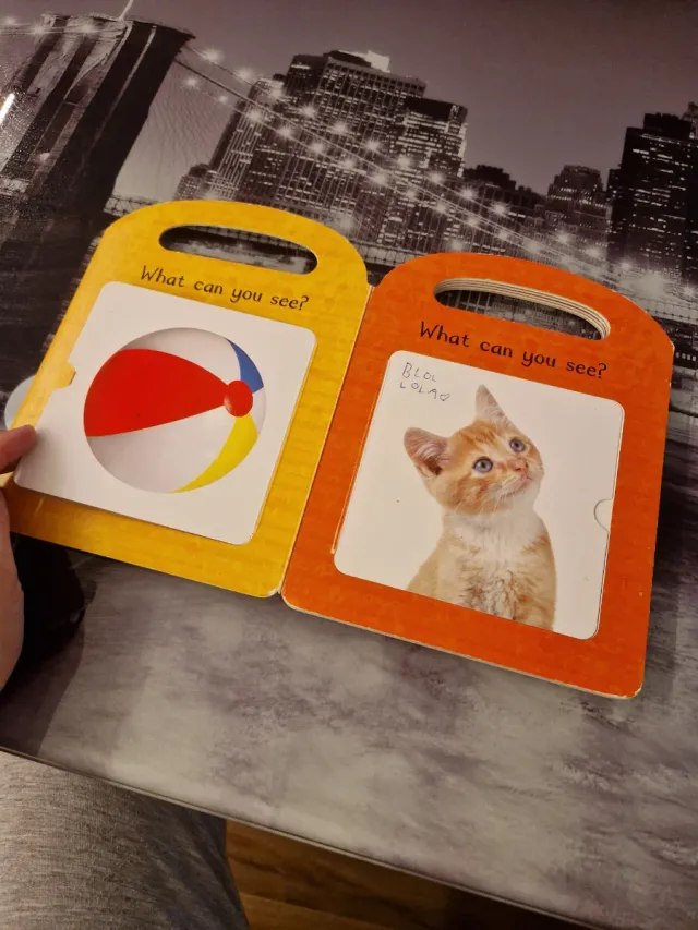 Libro en inglés bebés. My First Lift and Learn: Fi