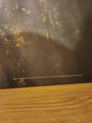 Cuadro Árboles Bosque Rayos de Sol Ikea