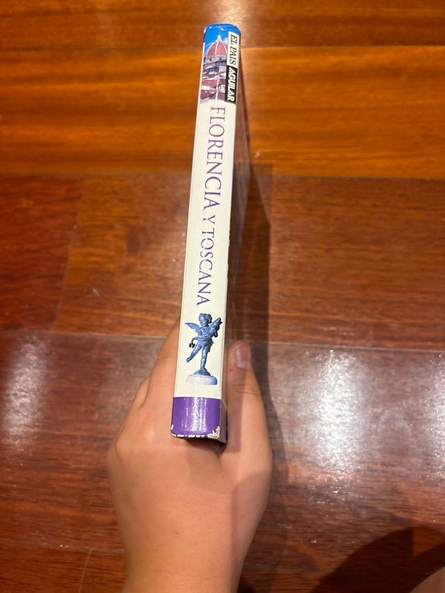 Guía Visual Florencia y Toscana