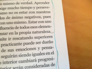 El Yoga Mental - Ramiro Calle- libro