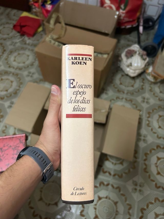 El oscuro espejo de los días felices