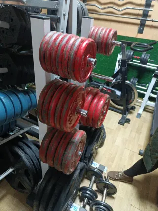 Discos Salter 2, 5, 10, 15 y 20kg