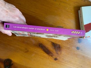 Los escarabajos vuelan al atardecer (Gran Angul...