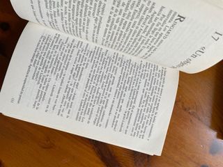 Los escarabajos vuelan al atardecer (Gran Angul...