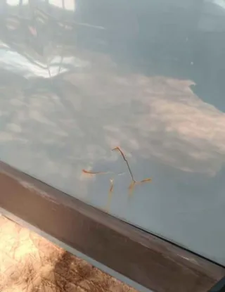 Autocaravana con 9500KM