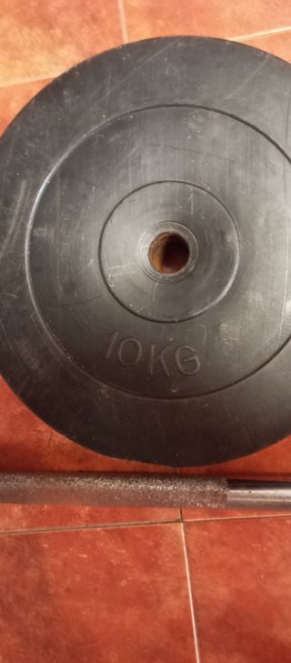 Banco, barra y discos de pesas