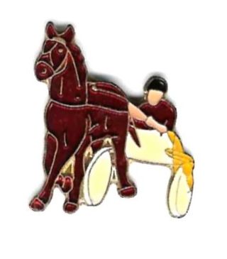 Pin Carreras de Caballos