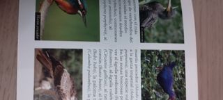 11 Parques Naturales de la Comunitat Valenciana