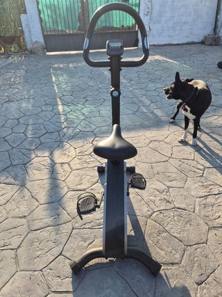 Bicicleta estática Domyos essential 2