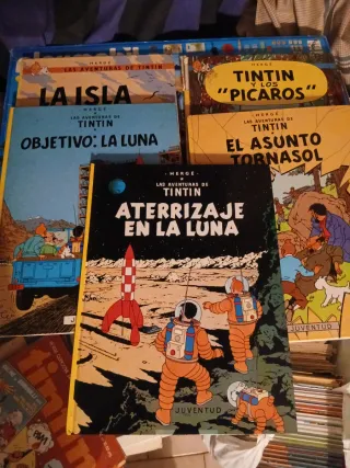 LOTE 19 + 6 TINTIN