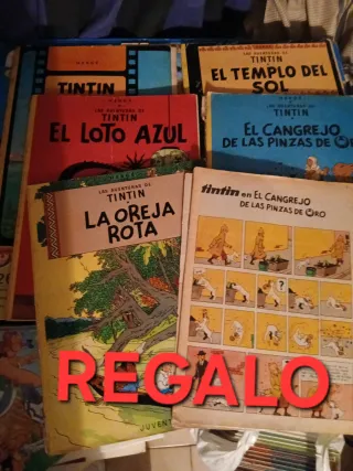 LOTE 19 + 6 TINTIN