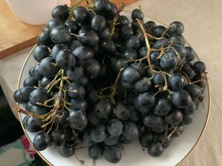 Uva Black Magic - Variedad de mesa (leer todo)