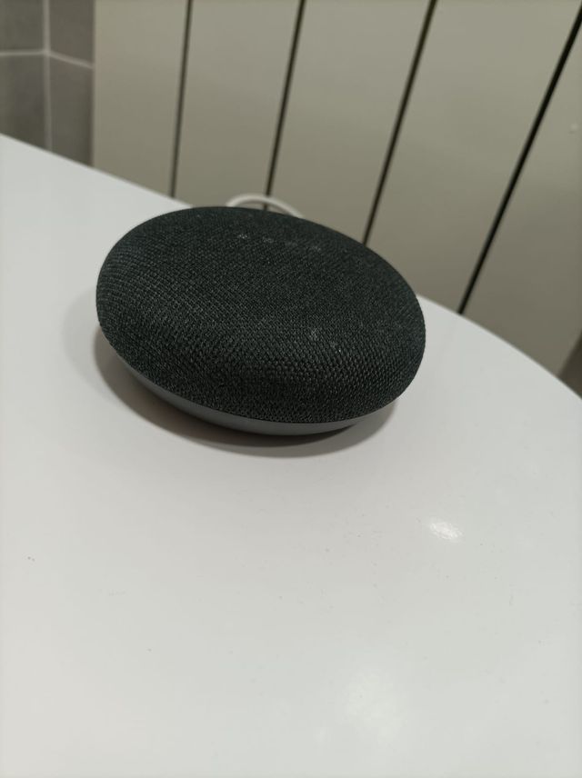 Google Home Nest Mini Negro