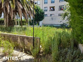 DESBROCES Y LIMPIEZA DE FINCAS EN O CORGO Y LUGO