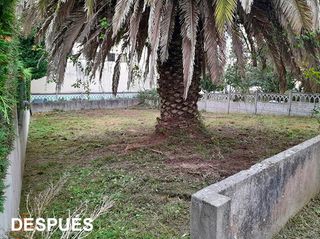 DESBROCES Y LIMPIEZA DE FINCAS EN O CORGO Y LUGO