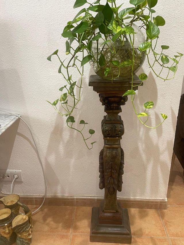 Pie madera antiguo con bola cristal y planta potos