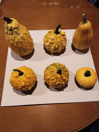 Calabazas de Halloween