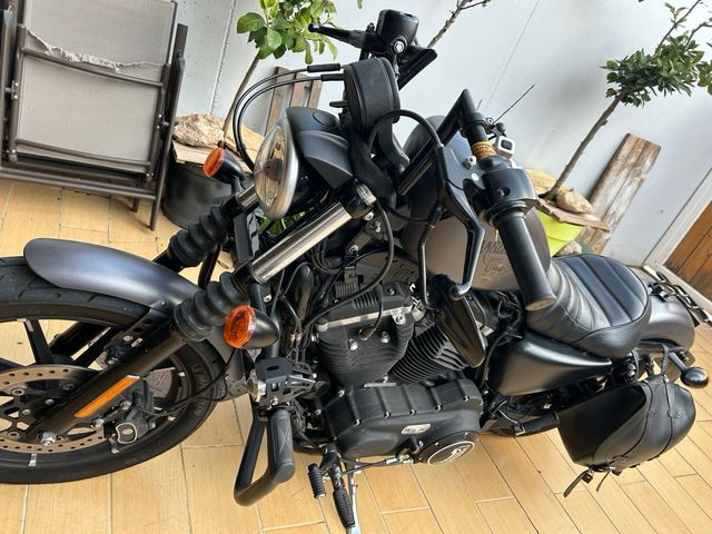 Harley Sportster Iron 883