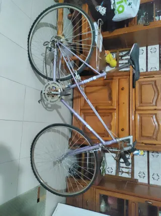 Bicicleta antigua morada