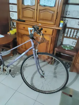 Bicicleta antigua morada