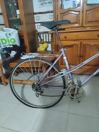 Bicicleta antigua morada