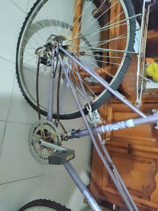 Bicicleta antigua morada