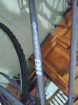 Bicicleta antigua morada