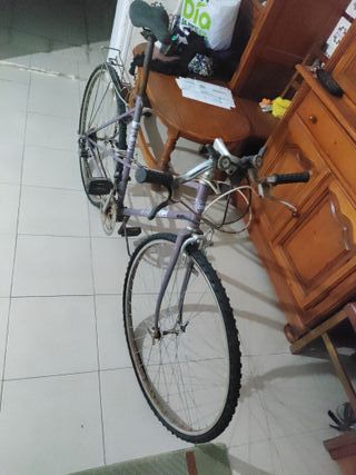 Bicicleta antigua morada