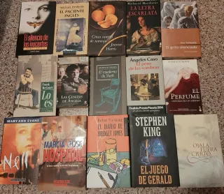 Lote de 13 Novelas Variadas
