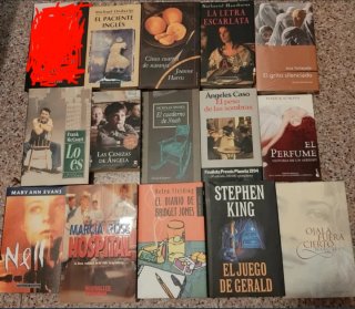 Lote de 14 Novelas Variadas