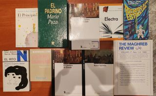 Lote de 10 libros variados de literatura y ensayo