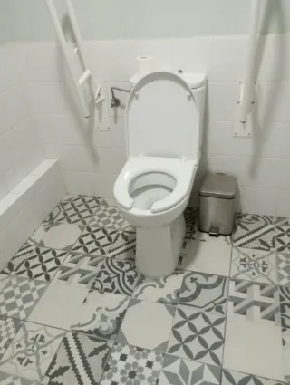 Apoyabrazos para baño
