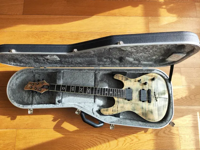 Mayones Setius Custom Guitarra Eléctrica