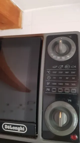 Mini horno eléctrico Delonghi Sfornatutto