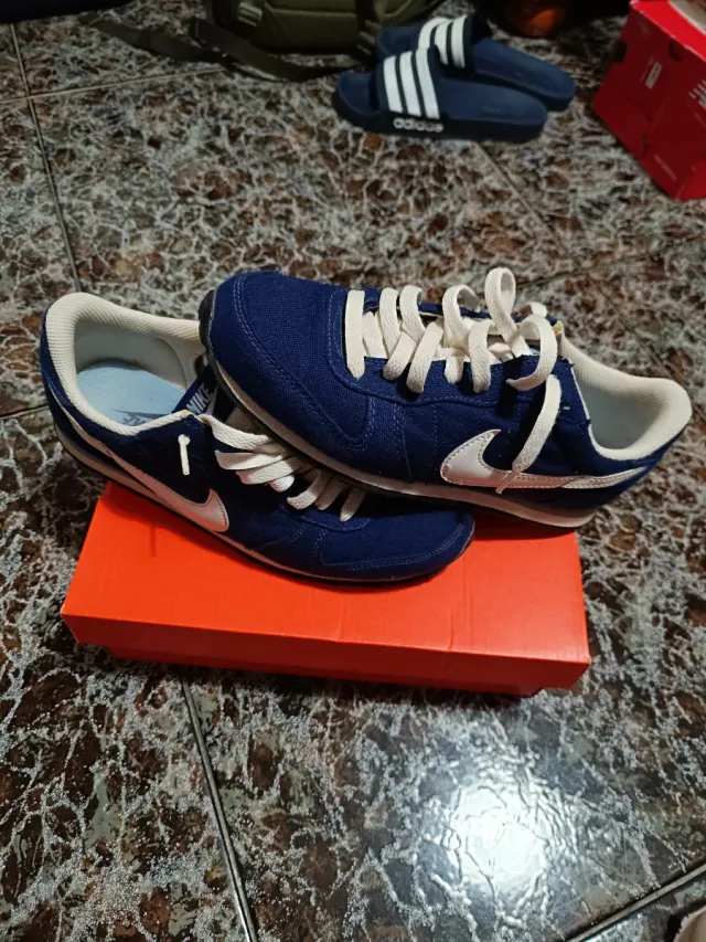 Nike Pegasus Zapatillas Deportivas Azul