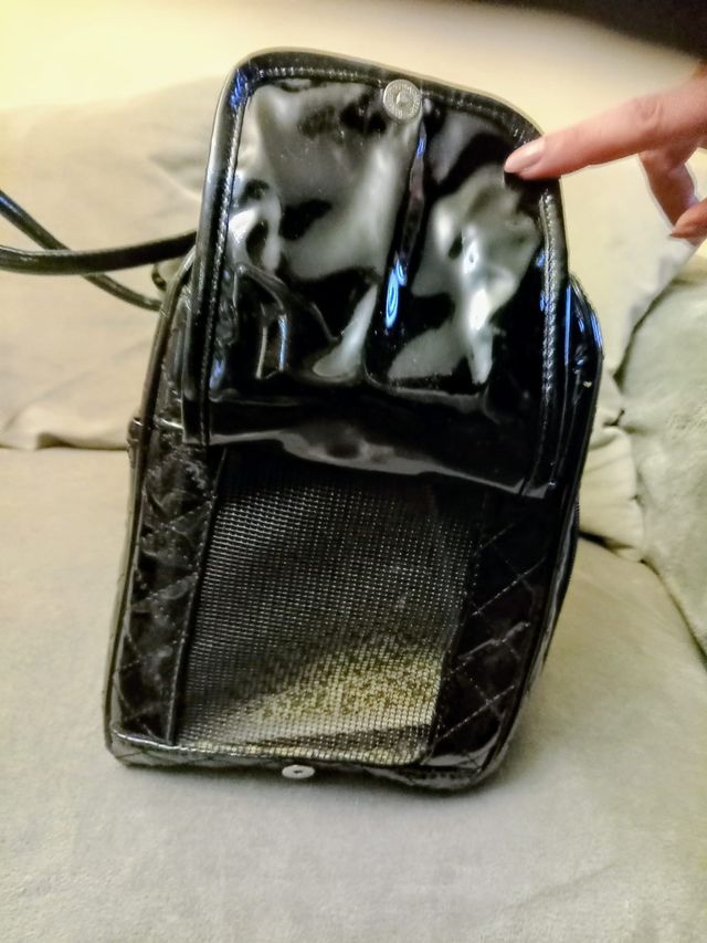 Bolso negro transporting chihuahua.