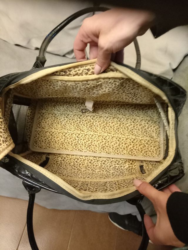 Bolso negro transporting chihuahua.