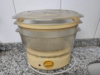 Vaporeta eléctrica 2 niveles