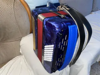 Acordeón Delicia 48 bajos