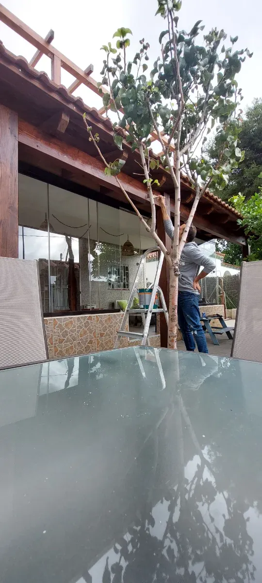 Trabajos de Jardinería, Pintura,  Mantenimiento...