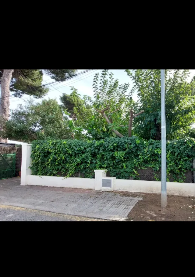 Trabajos de Jardinería, Pintura,  Mantenimiento...